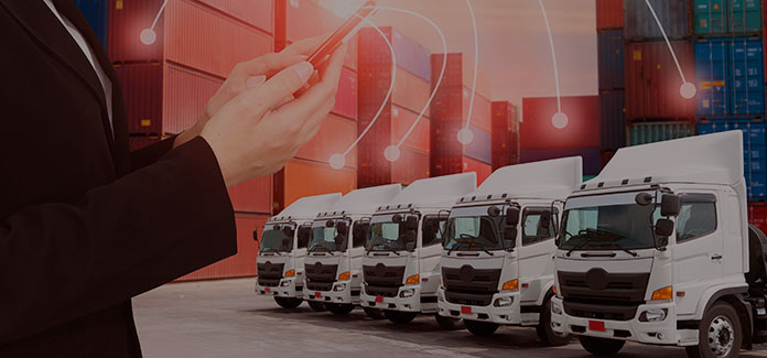 La Seguridad Privada como opción laboral